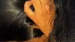 Horny Tamil Girl Blowjob Hard Fucking ~ UPDATES 11 CLIPS 7
