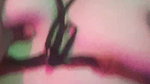 Horny Wife Blowjob Fucking Taking Cum on Face Updates 111