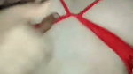 Horny Wife Blowjob Fucking Taking Cum on Face Updates 37