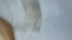 Horny Wife Blowjob Fucking Taking Cum on Face Updates 37