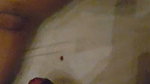 Horny Wife Blowjob Fucking Taking Cum on Face Updates 47