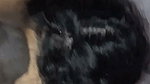 Horny Wife Blowjob Fucking Taking Cum on Face Updates 78