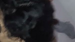 Horny Wife Blowjob Fucking Taking Cum on Face Updates 78