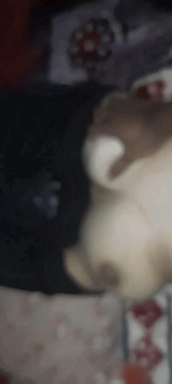 Frame 1