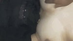 Horny Wife Blowjob Fucking Taking Cum on Face Updates 95