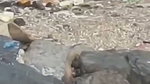 Lovers Fucking outdoor capture 1
