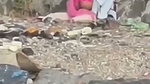 Lovers Fucking outdoor capture 1