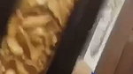Newlywed Beautiful Cute Sexy Wife Sloppy Blowjob Hard Fucking 21