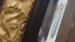 Newlywed Beautiful Cute Sexy Wife Sloppy Blowjob Hard Fucking 21