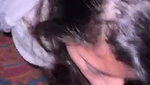Sexy Slim Horny Bengali Gf Hard Threesome Fucking Riding On Bf 2