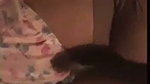 Sexy Slim Horny Bengali Gf Hard Threesome Fucking Riding On Bf 9