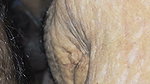 I Am Fucking My Wife