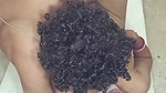 Horny Desi Couple Suck and Fuck Until They Satisfy and Cum Short on Her Belly