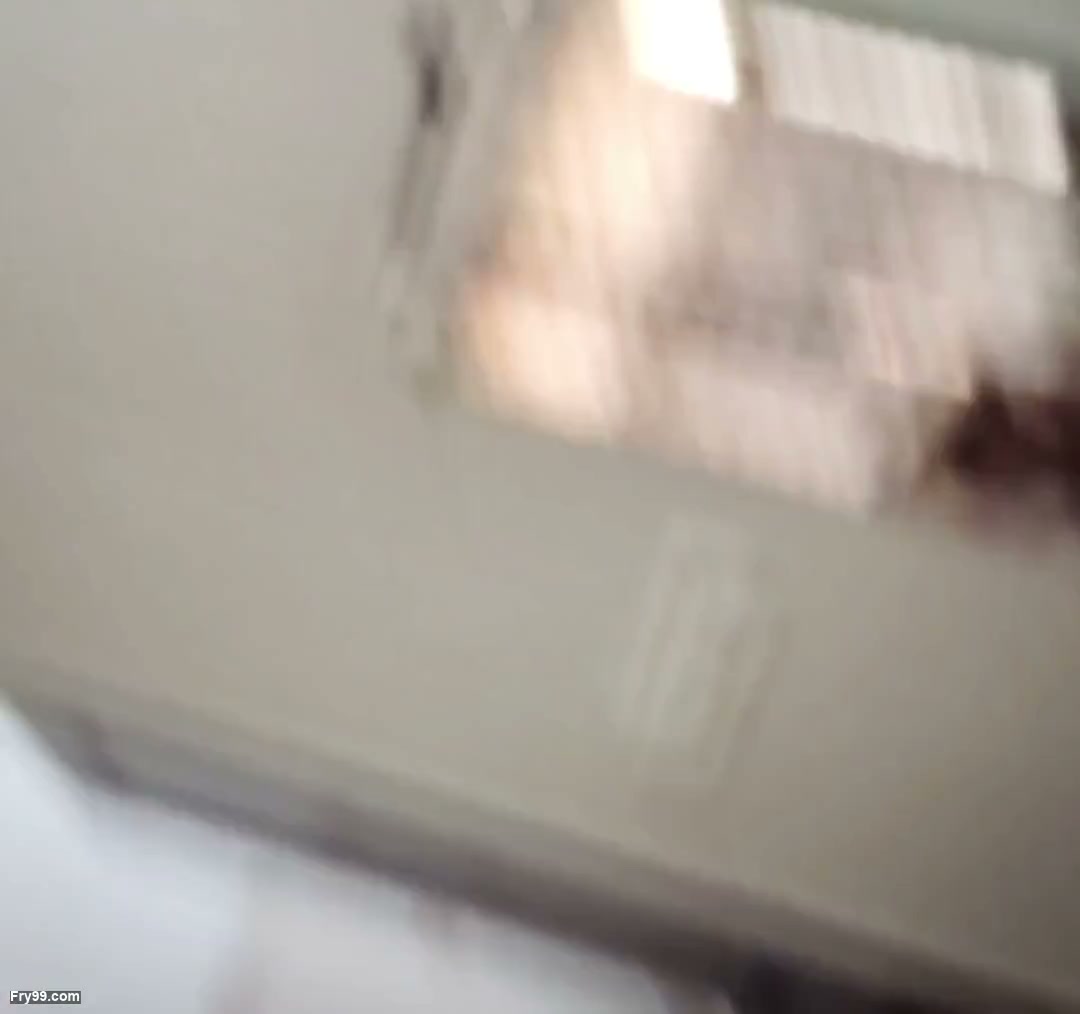 Frame 1