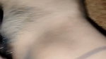 My wife and me sex videos is good (3)