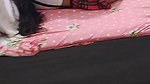 Desi Indian Couple Romantic Video