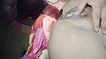 Desi bhabhi katarnak