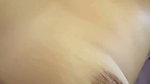 Angel face lioness body, Look at their faces!