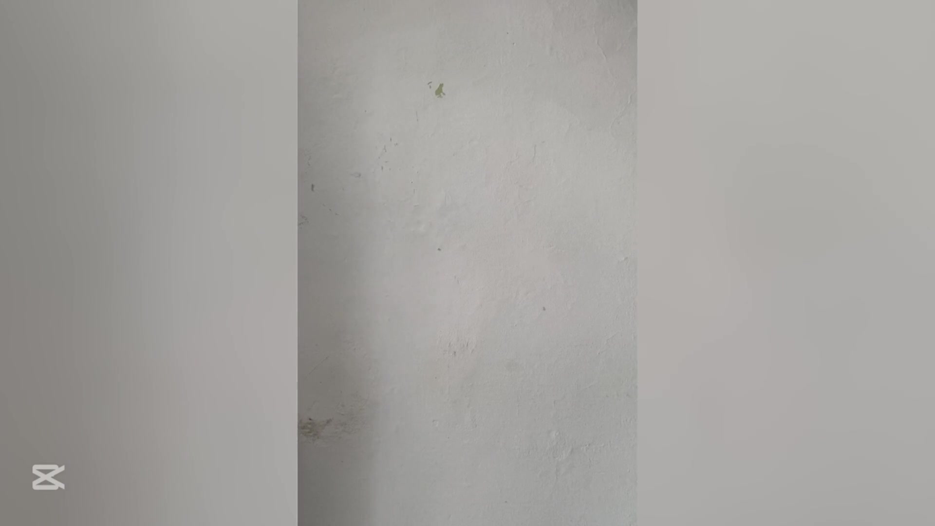 Frame 8