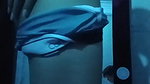 18+ teen’s tight pussy in her room. She accidentally sends a video to her teacher