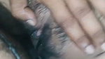 Dream girl ti-live premium