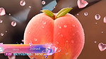 Gujrati ti-live premium