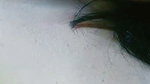 hoti chamet private video