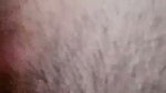 jara doll chamet private video