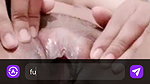 jara doll chamet private video