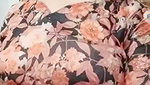 lady queen chamet private video