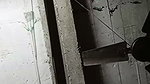 reia chamet private video