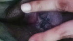 rinkig chamet private video