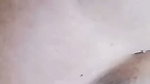 rose star chamet private video