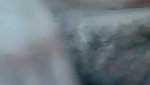 Cute bhabi big boobs