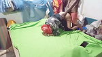 Hot desi Chut ki chudai with romantic padosi bhabhi