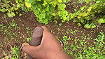 Seal Breaking Fuck of Virgin Pussy by Stepbrother