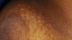 Induan Aunty Hairy Pussy