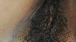 Induan Aunty Hairy Pussy