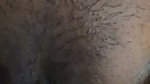 Indian Horny Girlfriend Fucked by Lover