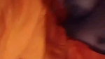 Hot Desi Beauty Solo Fun and Passionate Action