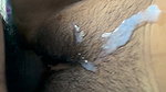 Desi Aunty Fucking