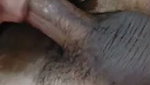 Beautiful Horny Indian Chubby Gf Blowjob And Hard Fucking 4