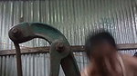 Sexy Figure Bigboob Beautiful Village Bhabi Showing & Fingering updates 16