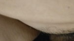 i called an indian desi sexy lady to a hotel and enjoyed sex 1