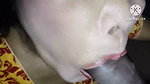 My Stepsister Gives Me the Best Oral I Finish in Her Mouth
