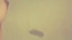 Latika old avtar full horney