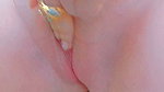 Her hooded clitoris becomes erect upon reaching orgasm