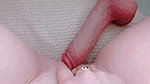 hard, erect cock penetrating only the head until it breaks