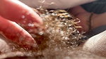 Hairy pussy