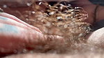 Hairy pussy